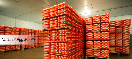Stacked Eggs in Warehouse
