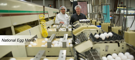 Employees Sorting Eggs