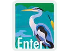 picture of blue heron