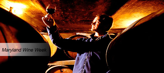 Man inspecting wine