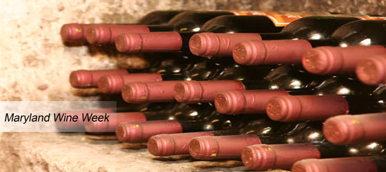 Wine bottles