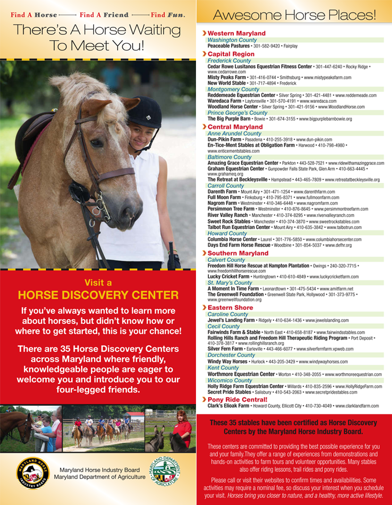 Equine Experience Center Rack Card.png