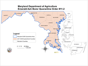 maryland county map emerald ash borer quarantine