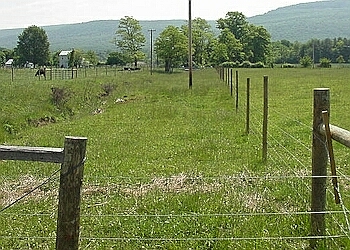 fences stream fences stream