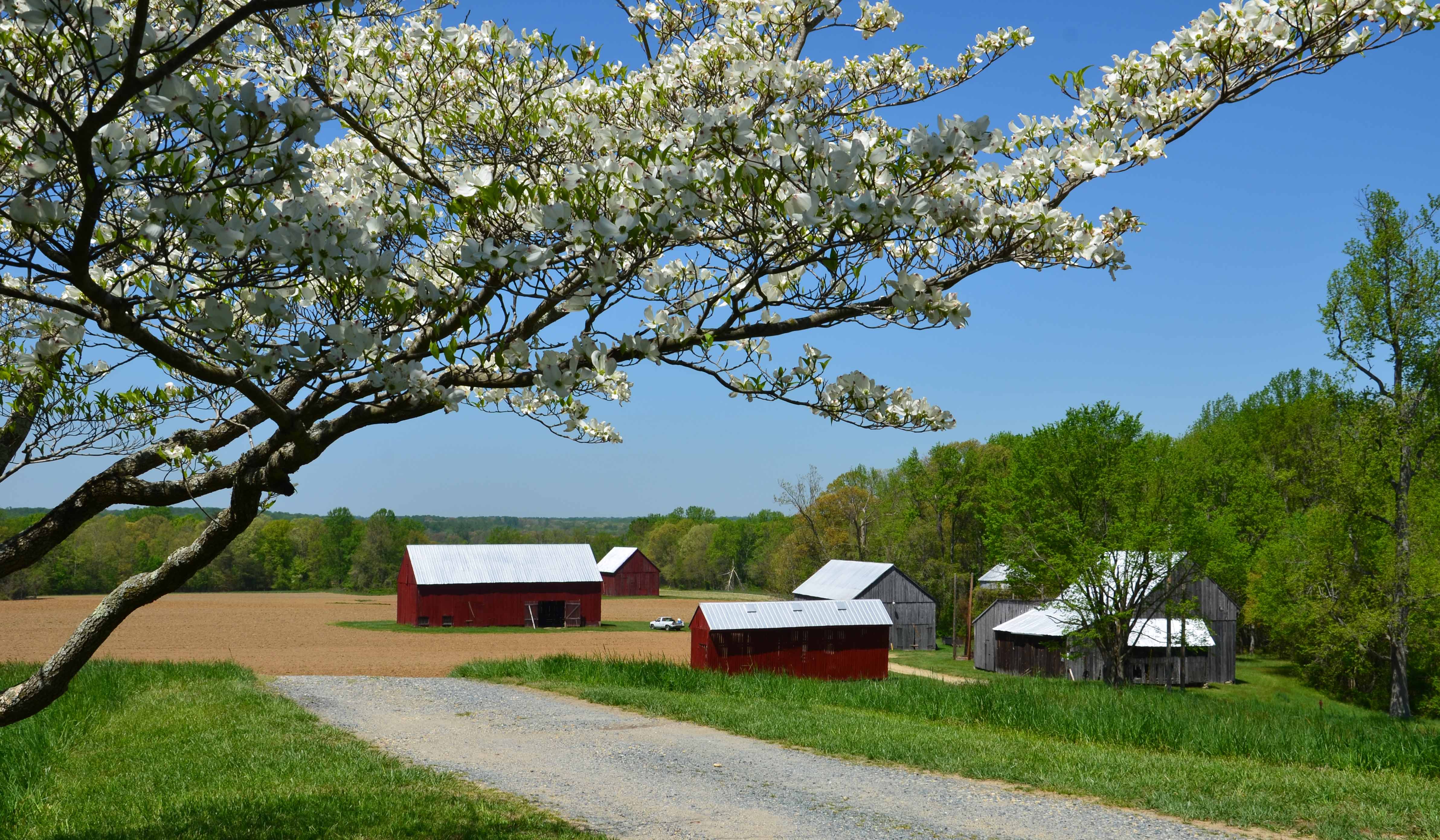 DSC_4479.jpg