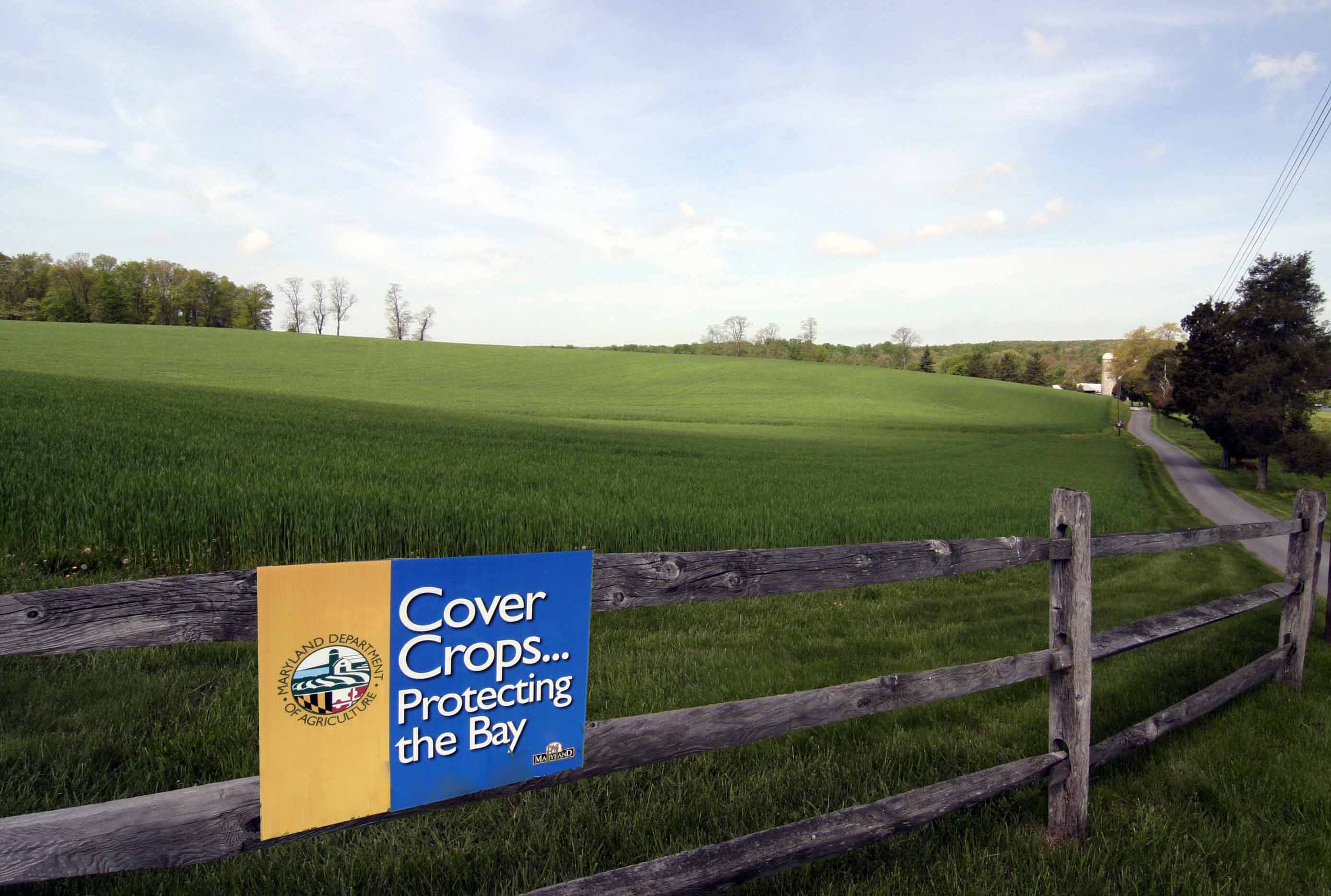 Cover Crop Sign