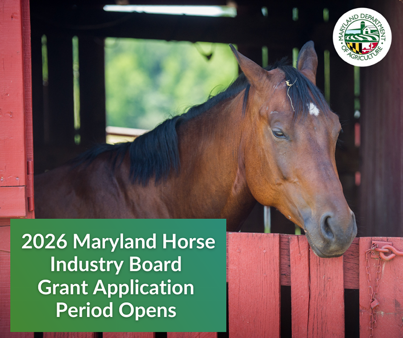 Maryland Horse Industry Information