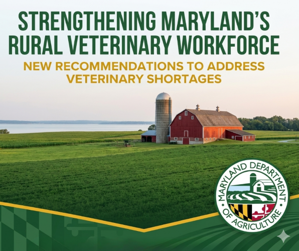 Strengthening Maryland’s Rural Veterinary Workforce