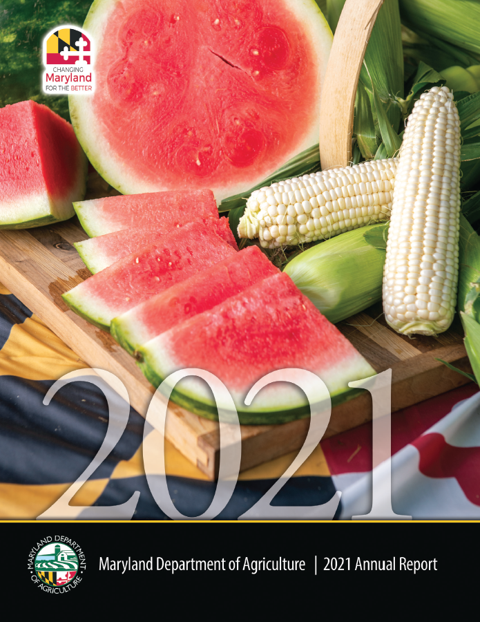 MDA-Annual-Report-2020-Front-Cover.png