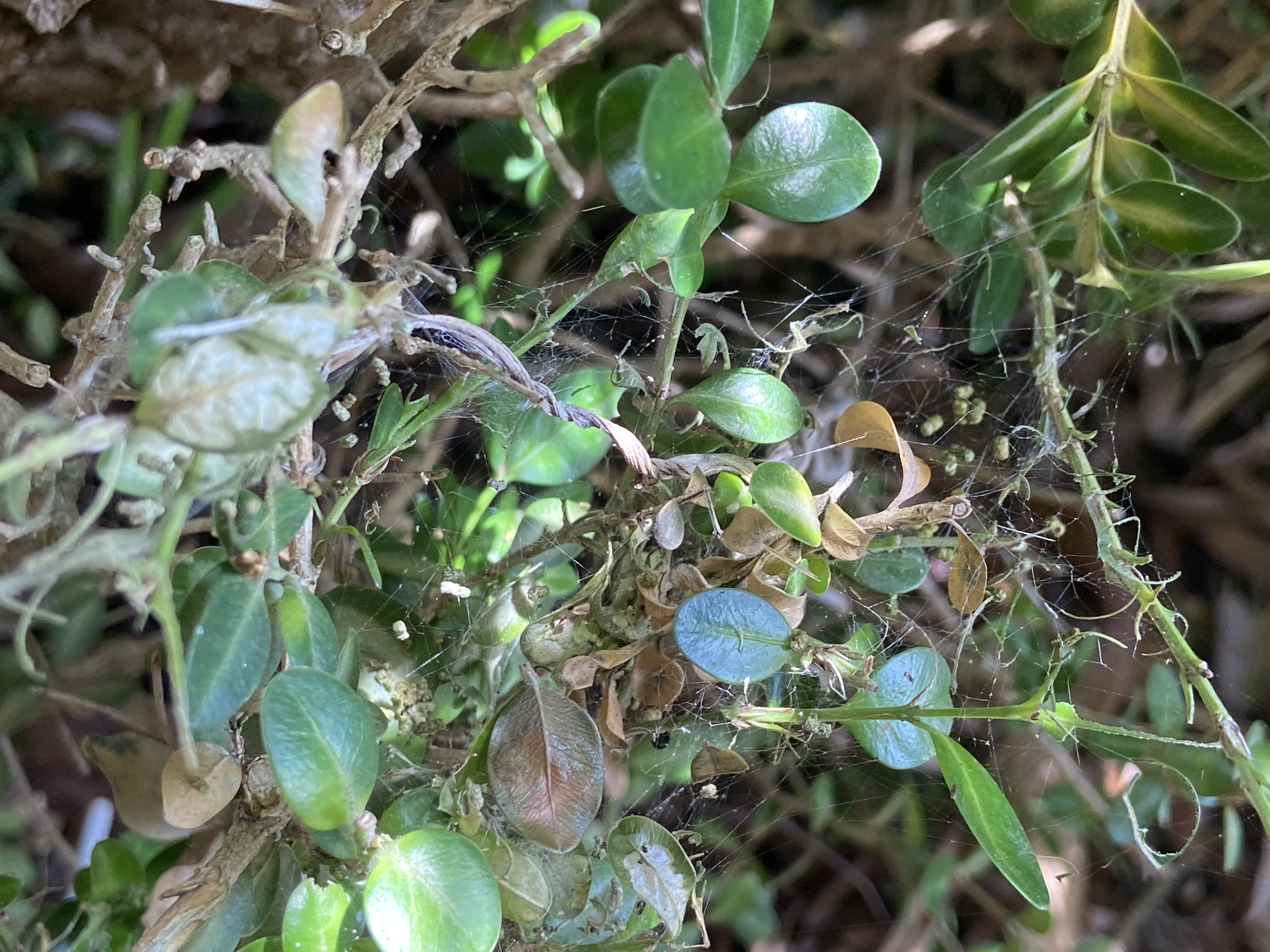 Figure 13 More signs (Clark Bacwaden, MDA).jpg