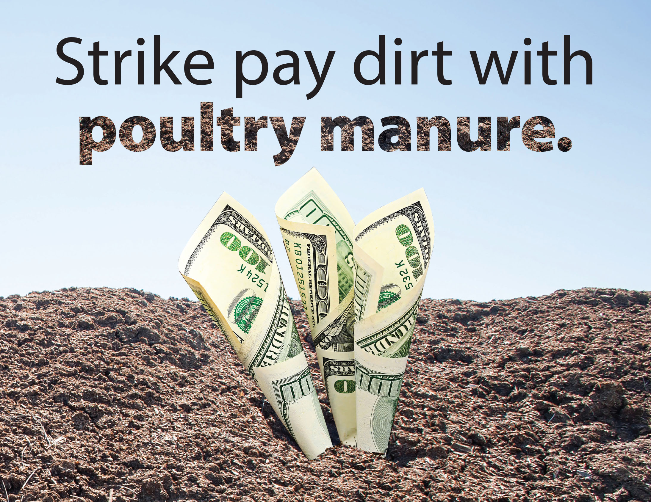 strike pay dirt with manure