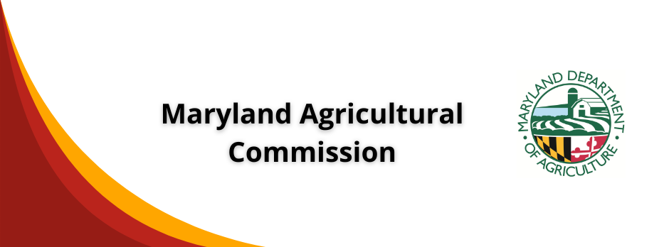 Licen (Facebook Fundraiser Cover Photo) (16).png