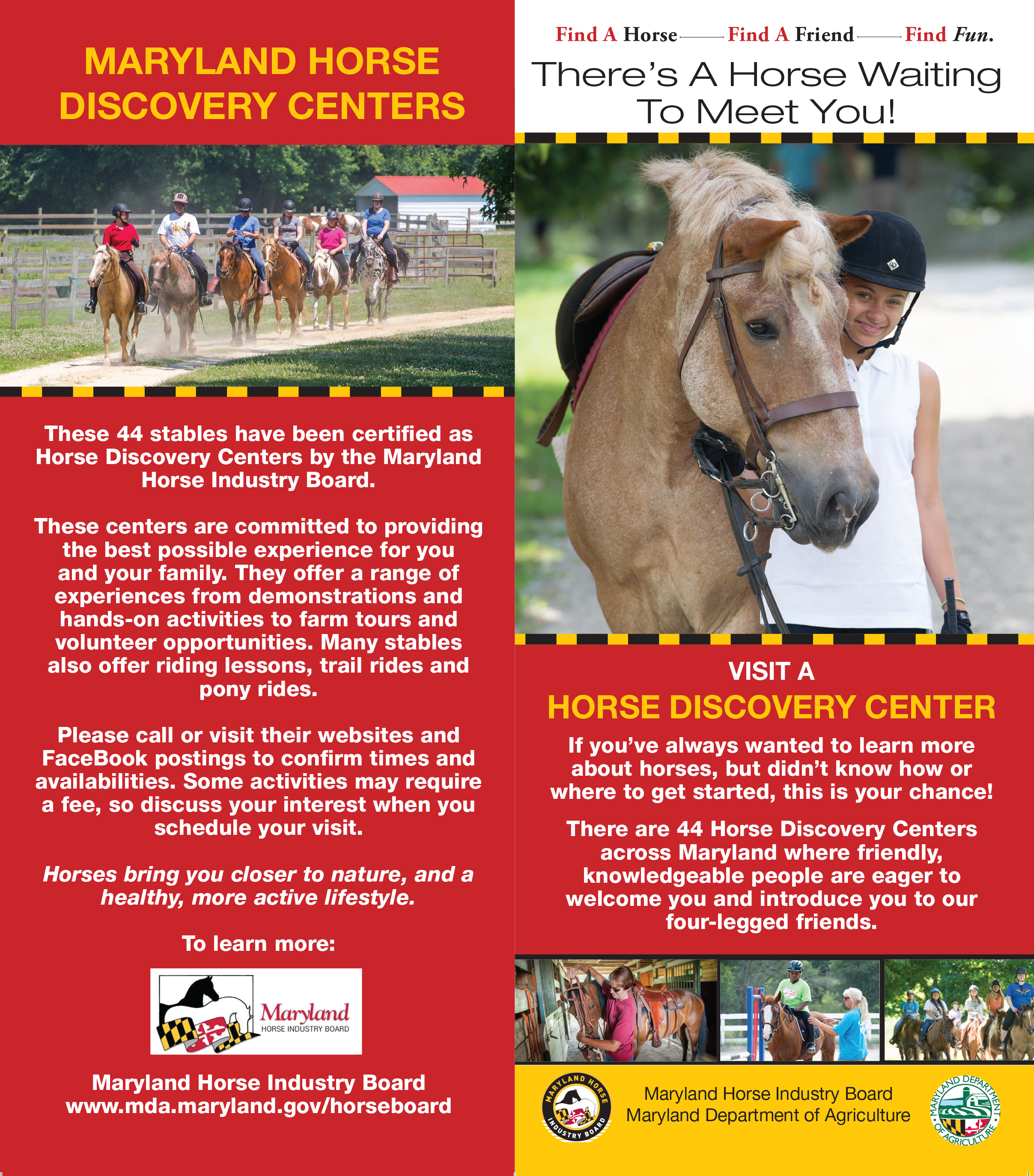 Equine Experience Center Rack Card.png
