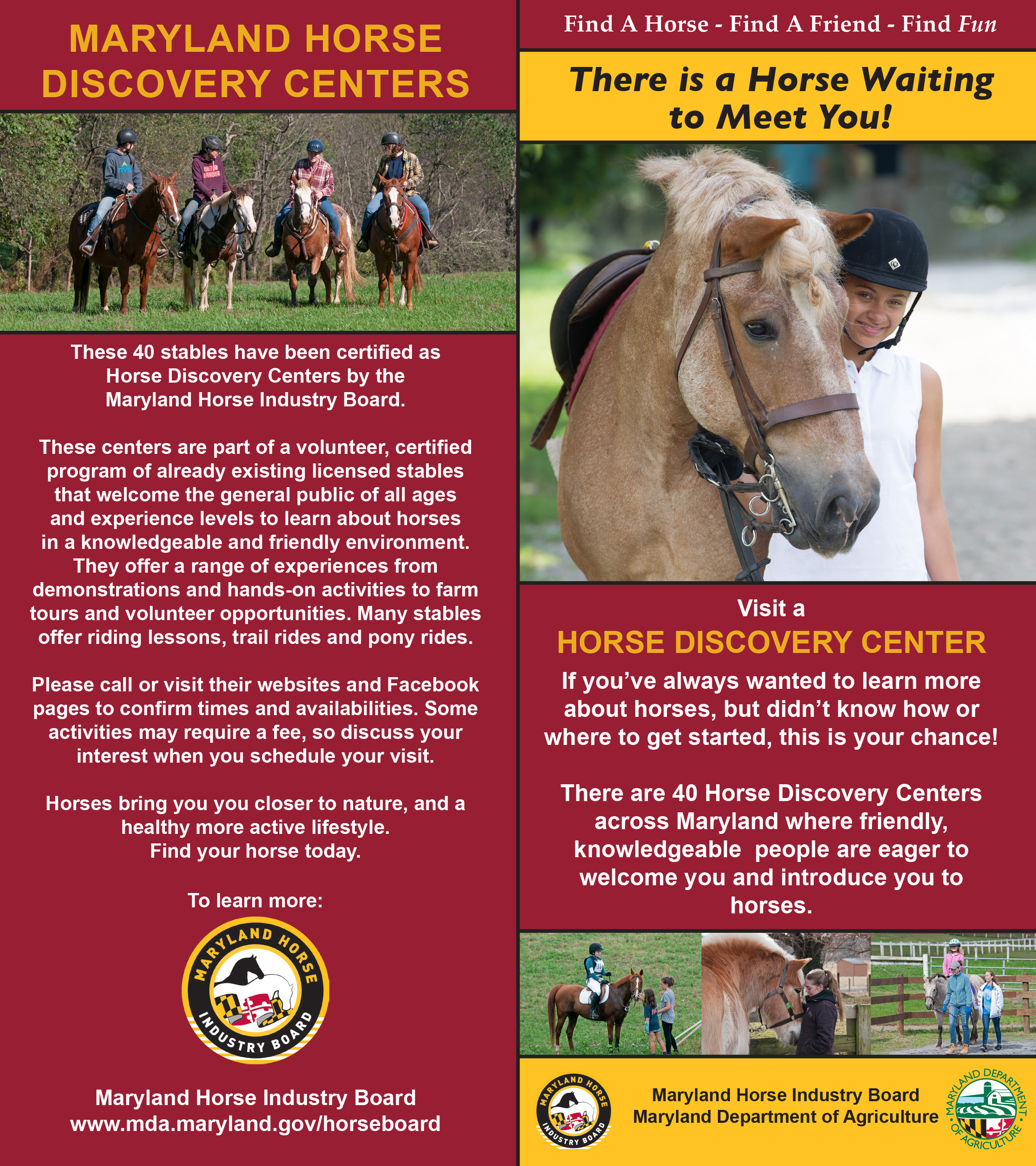 Equine Experience Center Rack Card.png