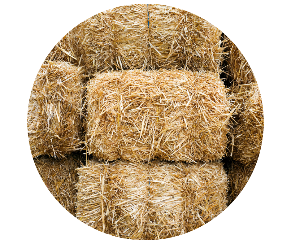Untitled design (34).png