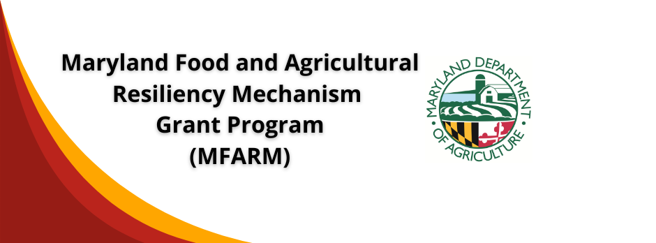 Licen (Facebook Fundraiser Cover Photo) (2).png