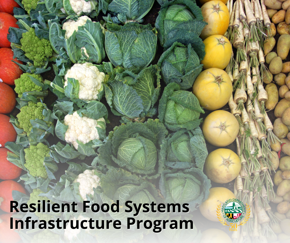 Resilient Food Systems Infrastructure Program Grants Announcement (4).png