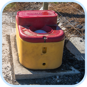 Brown horse drinking water out of a trough
