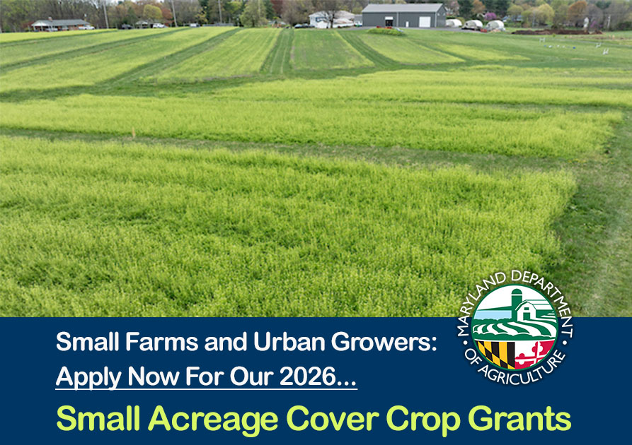 Green field of cover crops on a small farm,MDA logo announcing Small Acreage Cover Crop Grants