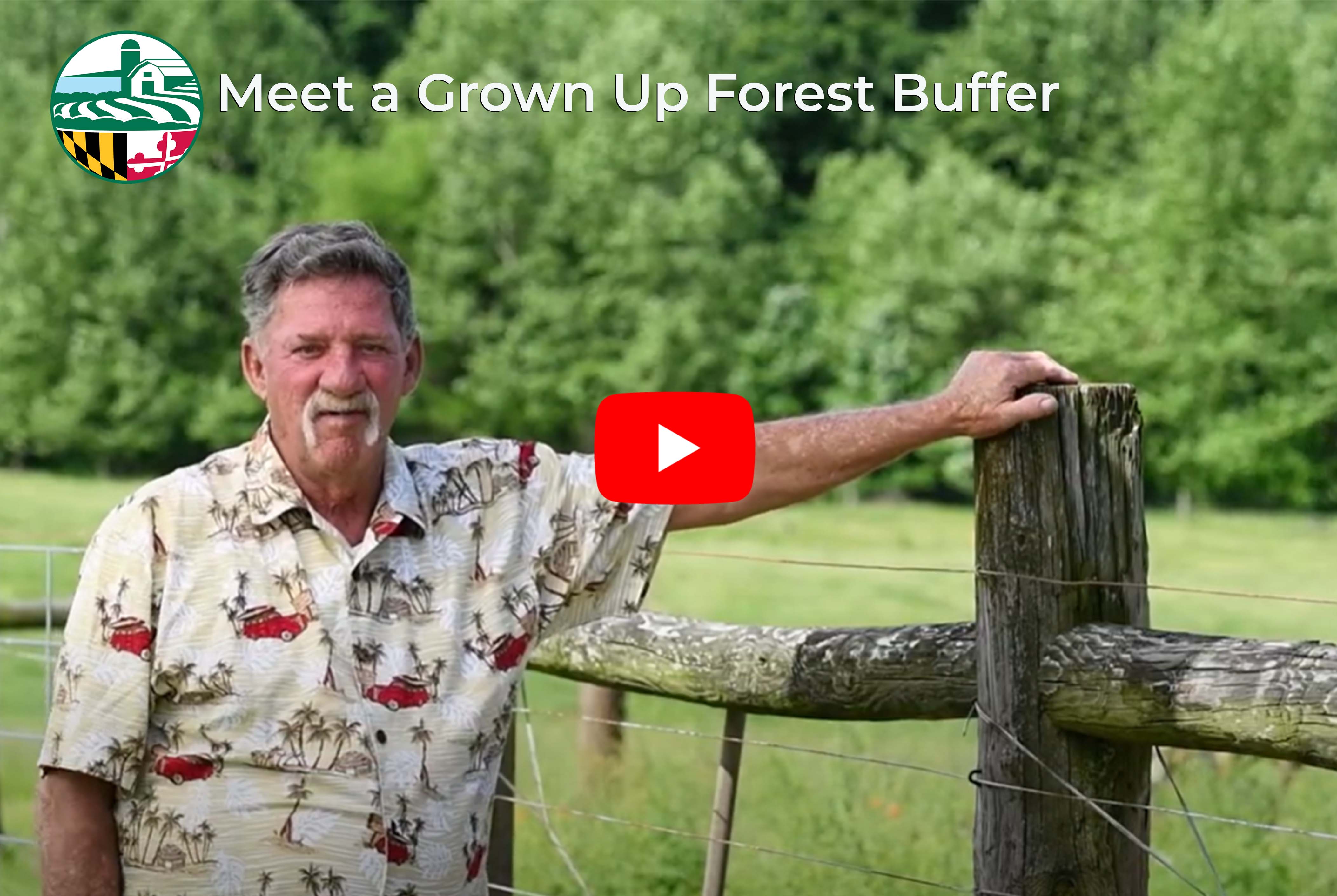 Man standing next to a fence with a beautiful mature tree buffer in the background & video link, image copyright Edwin Remsberg