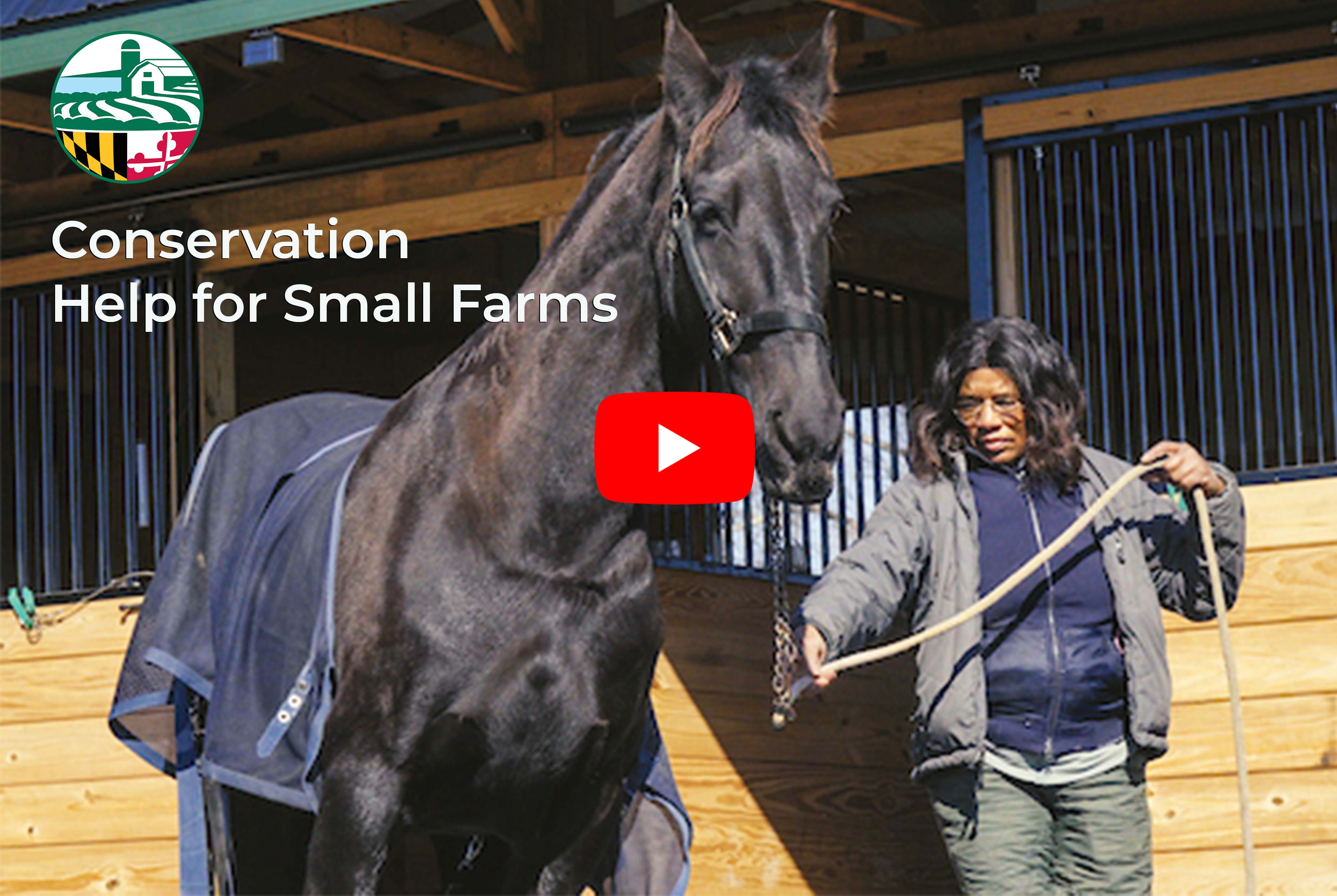 Woman with a horse in front of a barn with a video link, image copyright Edwin Remsberg