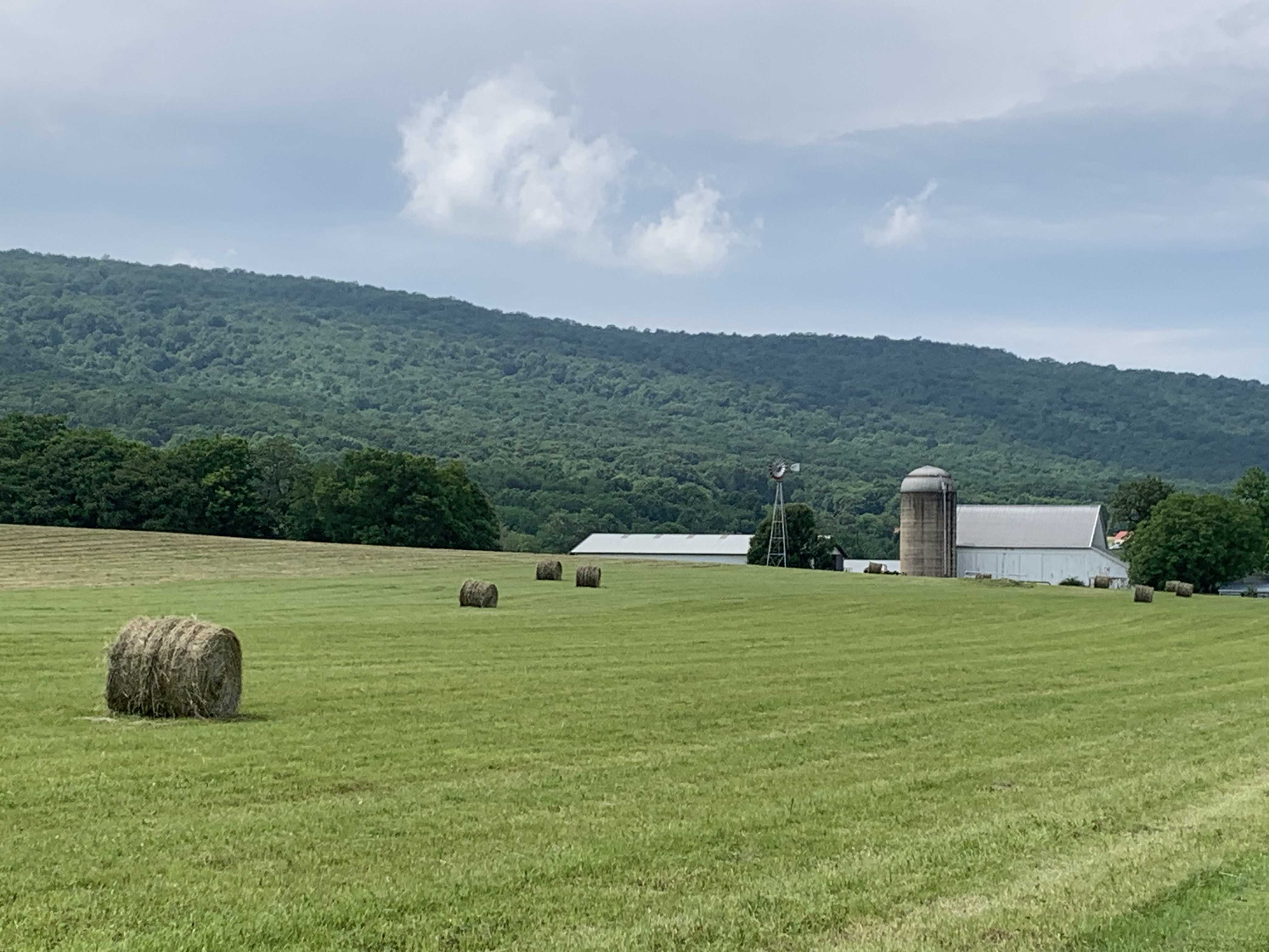Hay field