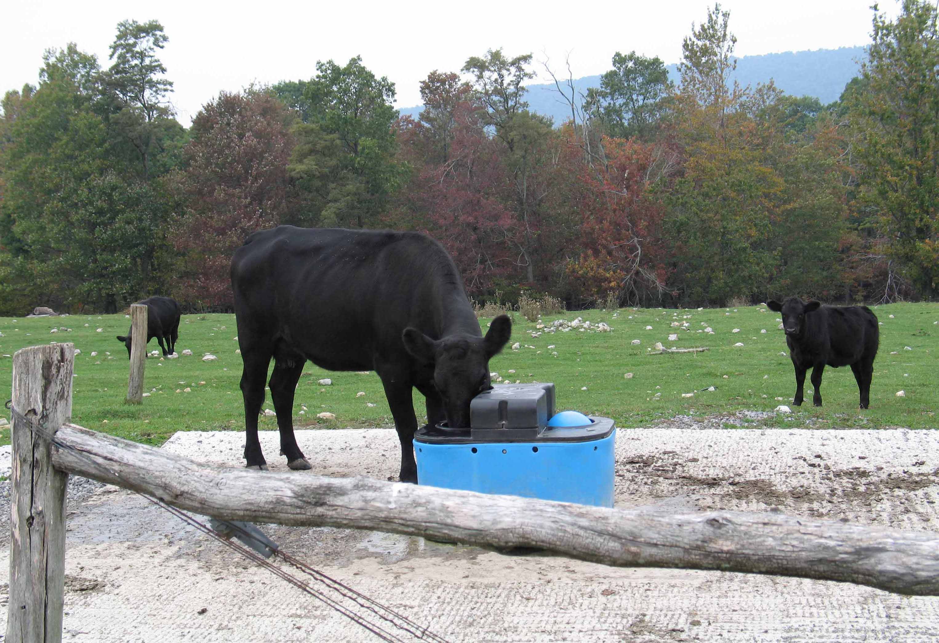 Livestock Watering Facility, credit MDA