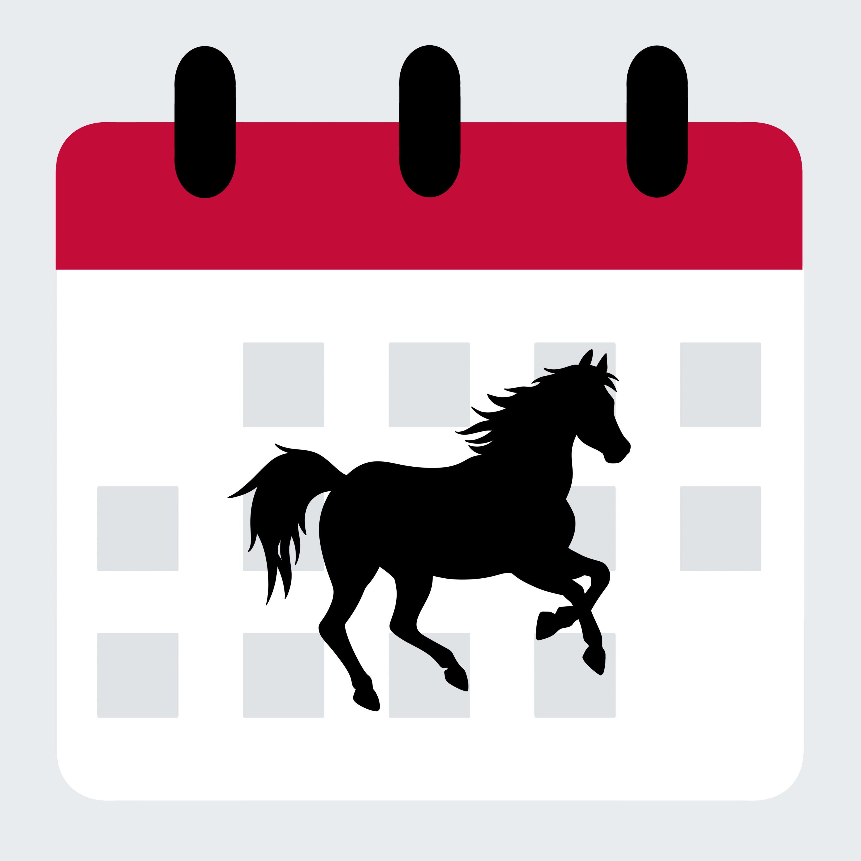 Image of calendar with shadow of horse