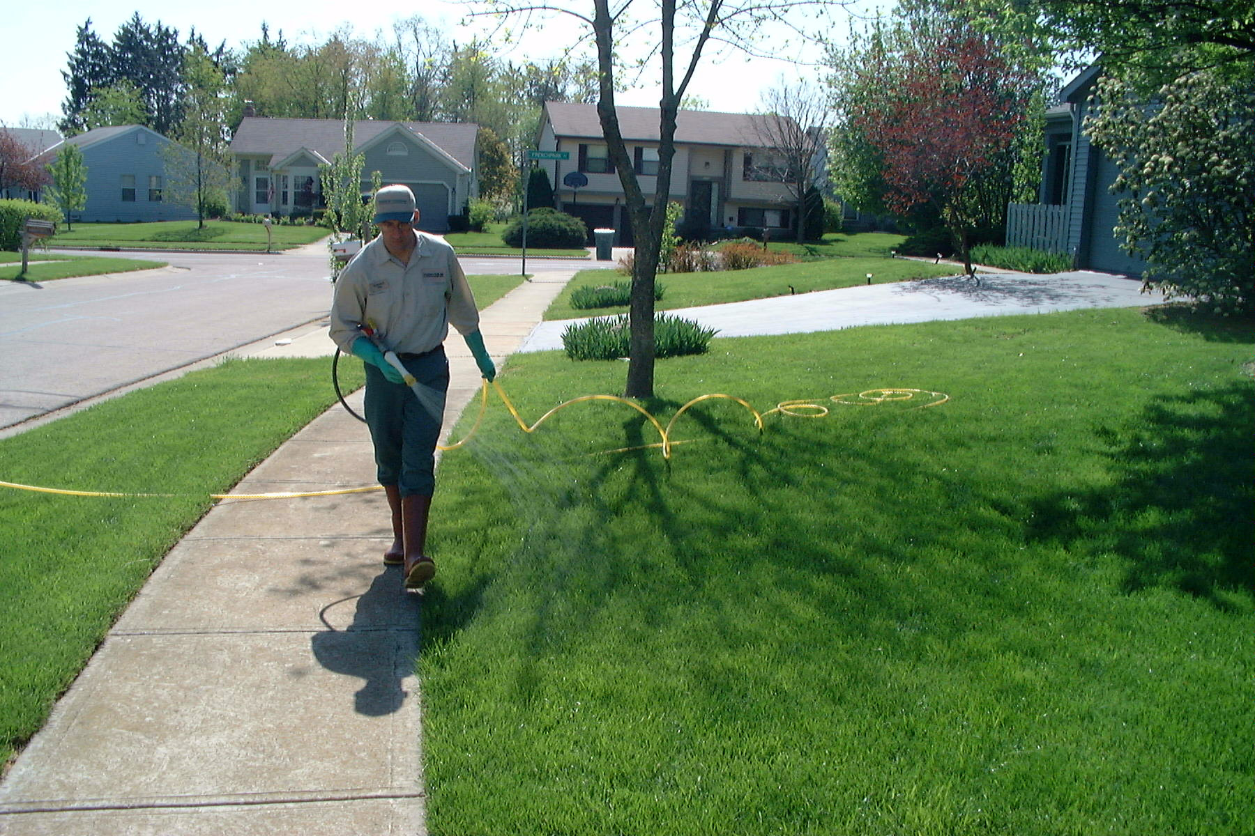 Man Fertilizing Lawn