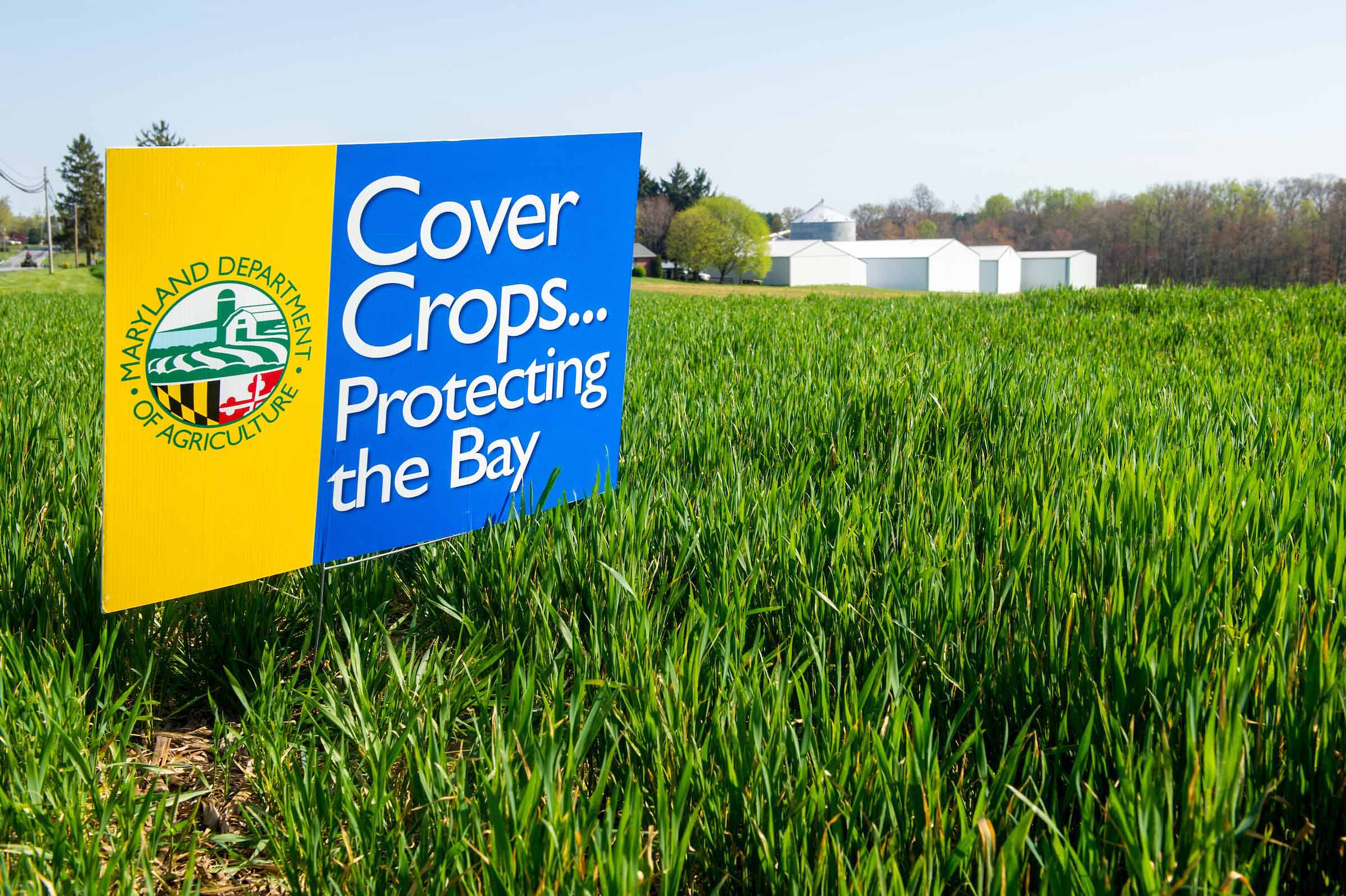 Cover Crop Sign in a field, copy Edwin Remsberg of grass