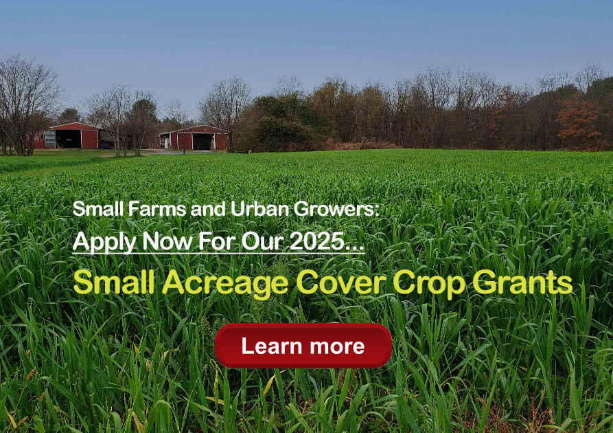 Small green cover crop field with embedded clickable link to 2025 small acreage cover crop grants