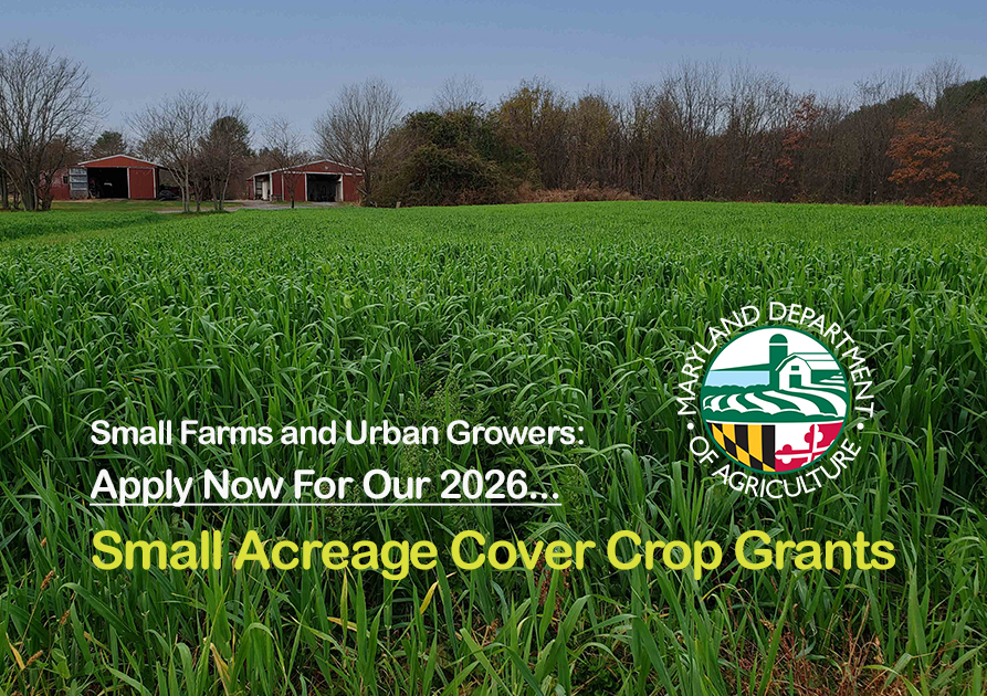 Cow drinking from a waterer with message: Healthy Herds Start with Clean Water