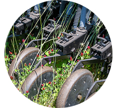 Close up of a crimson clover field with farm equipment, image copyright Edwin Remsberg