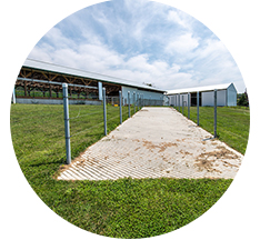 A white heavy use pad on an incline leading up to an animal bar, image copyright Edwin Remsberg