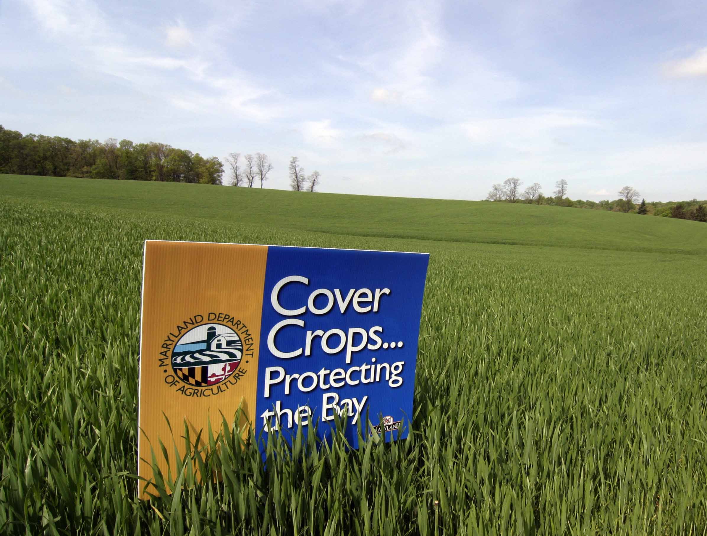 Cover Crop Sign
